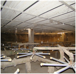 Maintenance of central cooling system